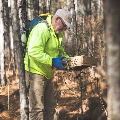 Andrew Saatkamp, in a hi-vis jacket and cap, shaking a soil screen among pines.